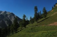 2015-07-01_1Pano-bei-Lacke (289).JPG